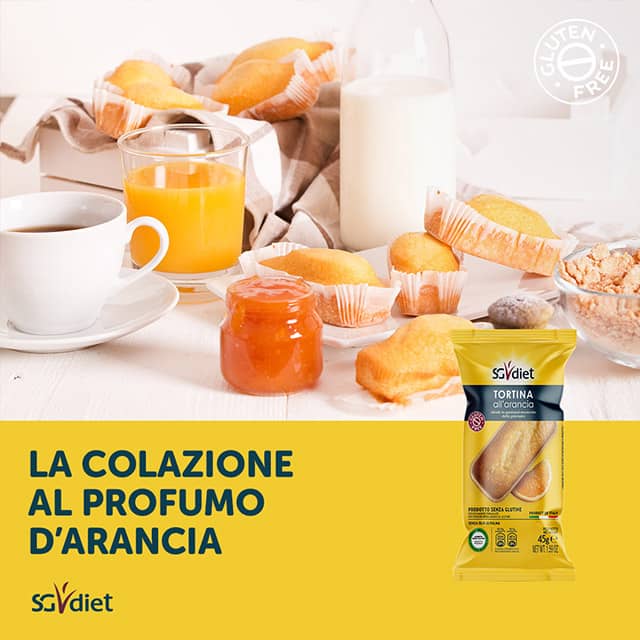 sgdiet-plumcake-sg-02